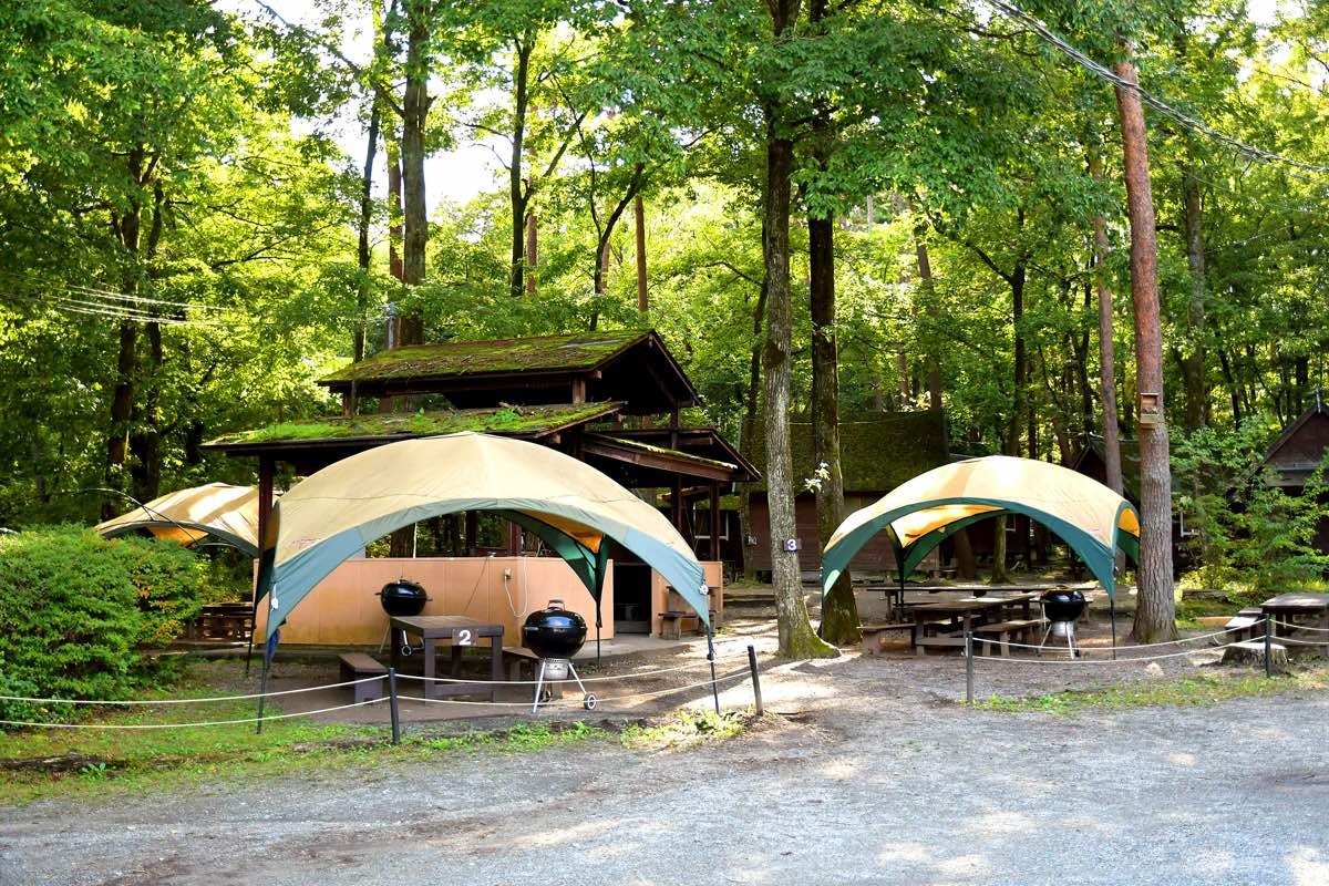 🌳 북유럽의 숲 공원(호쿠오노모리코엔) 이미지 8